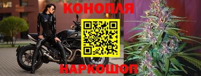 мдпв Кандалакша
