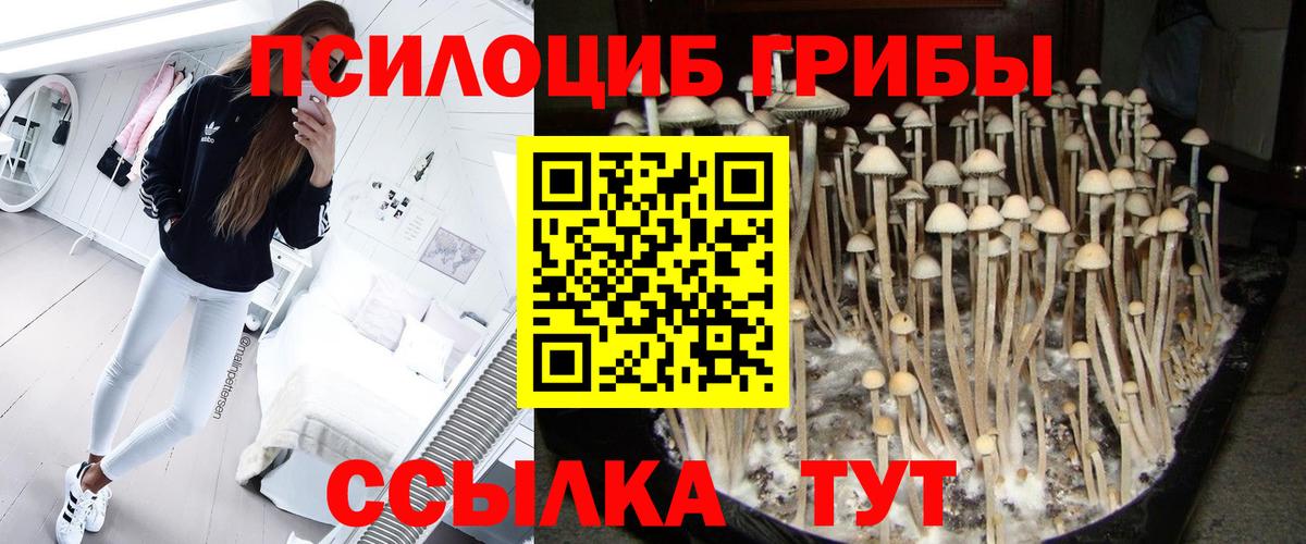 Галлюциногенные грибы Magic Shrooms  что такое наркотик  Кувандык  Псилоцибиновые грибы Psilocybe  Вход с VPN 